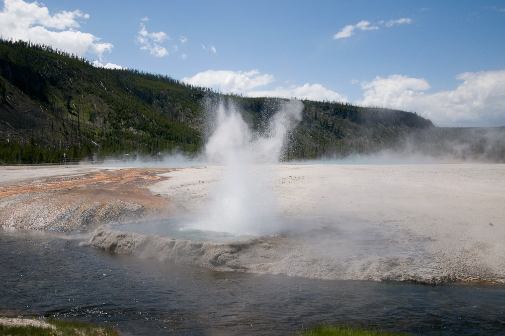 Cliff Geyser   Black Sand Basin,  Yellowstone National Park