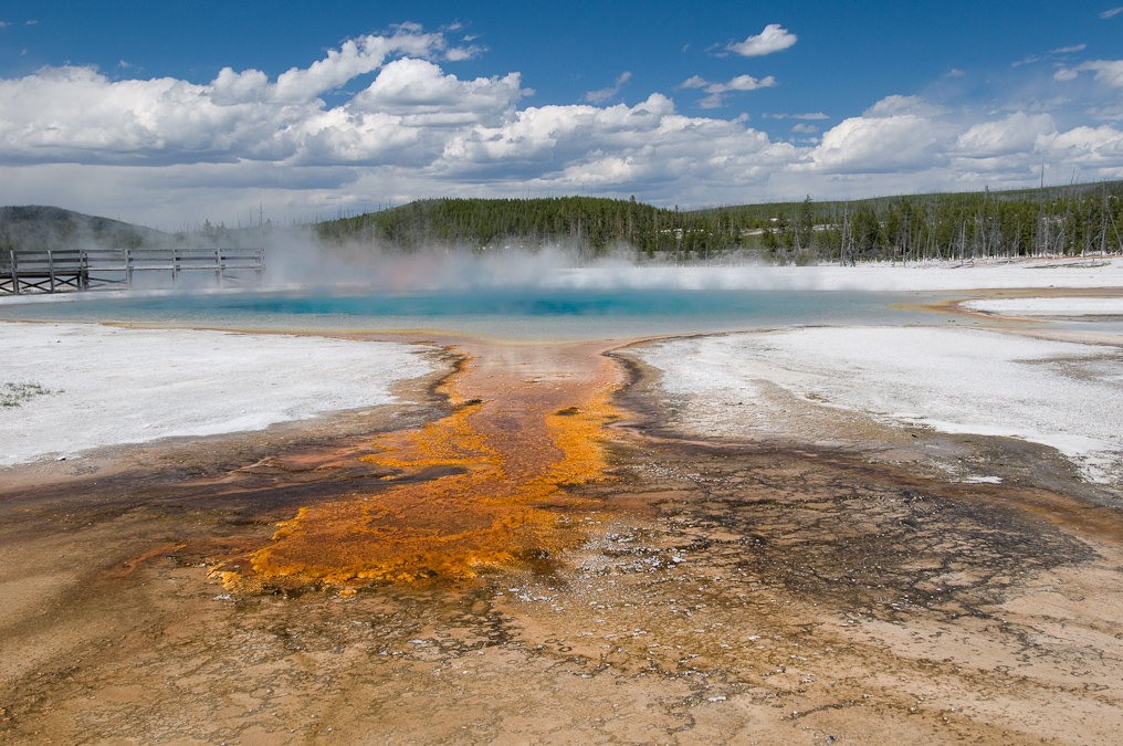 Rainbow Pool   Black Sand Basin,  Yellowstone National Park