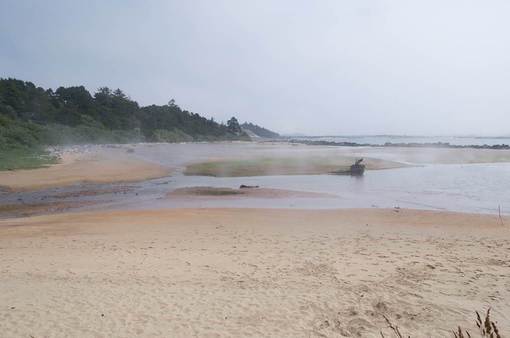 Near Oregon Dunes National Recreation Area   Near Heceta Beach, Oregon