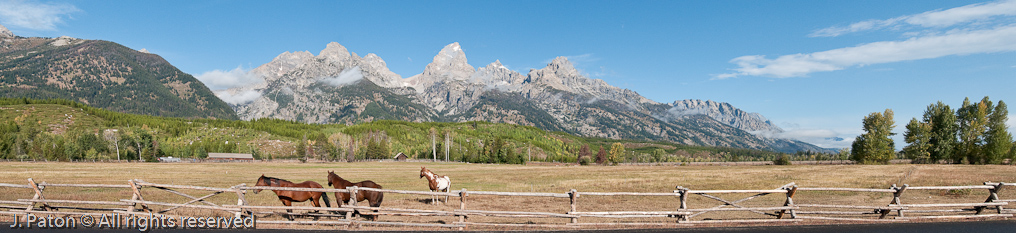 Tetons and Horses   Near Taggart Lake Trailhead, Grand Teton National Park, Wyoming