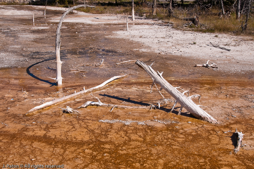    Fountain Paint Pots, Yellowstone National Park, Wyoming