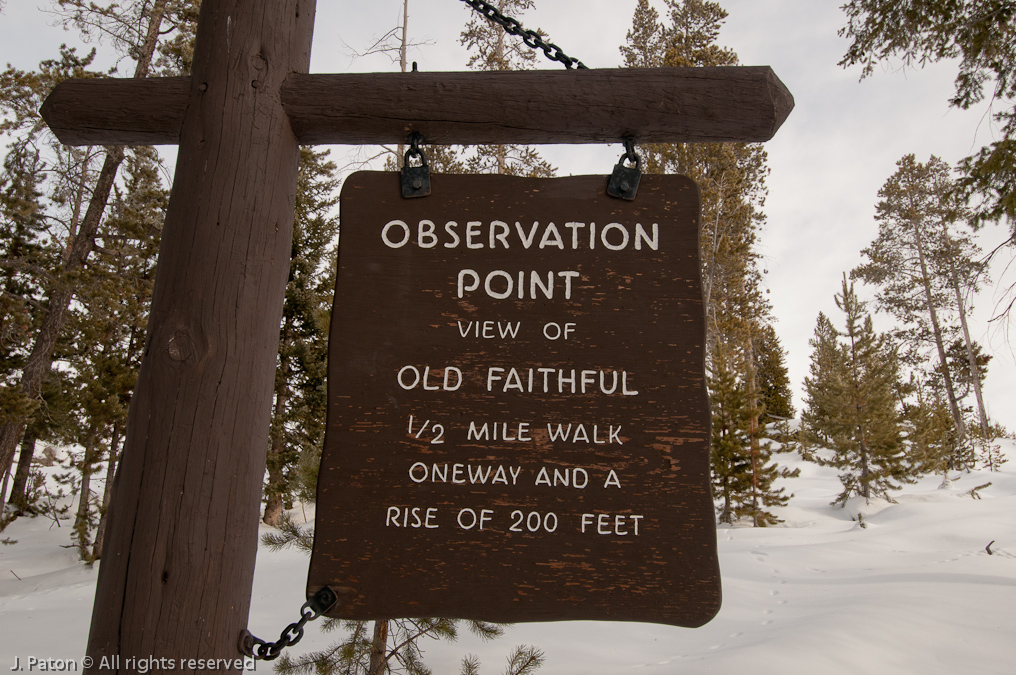 Trail to Observation Point   Old Faithful Area, Yellowstone National Park, Wyoming