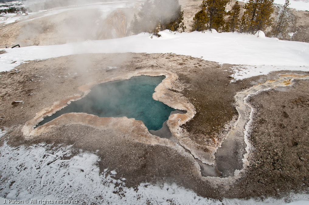 Blue Star Spring   Old Faithful Area, Yellowstone National Park, Wyoming