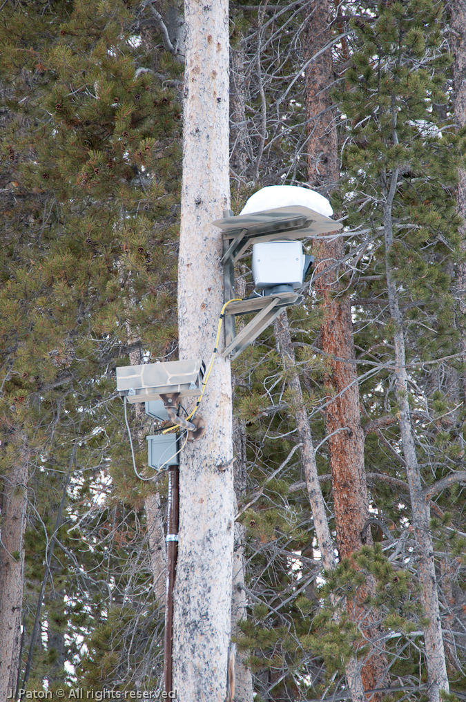 Web Cams   Old Faithful Area, Yellowstone National Park, Wyoming