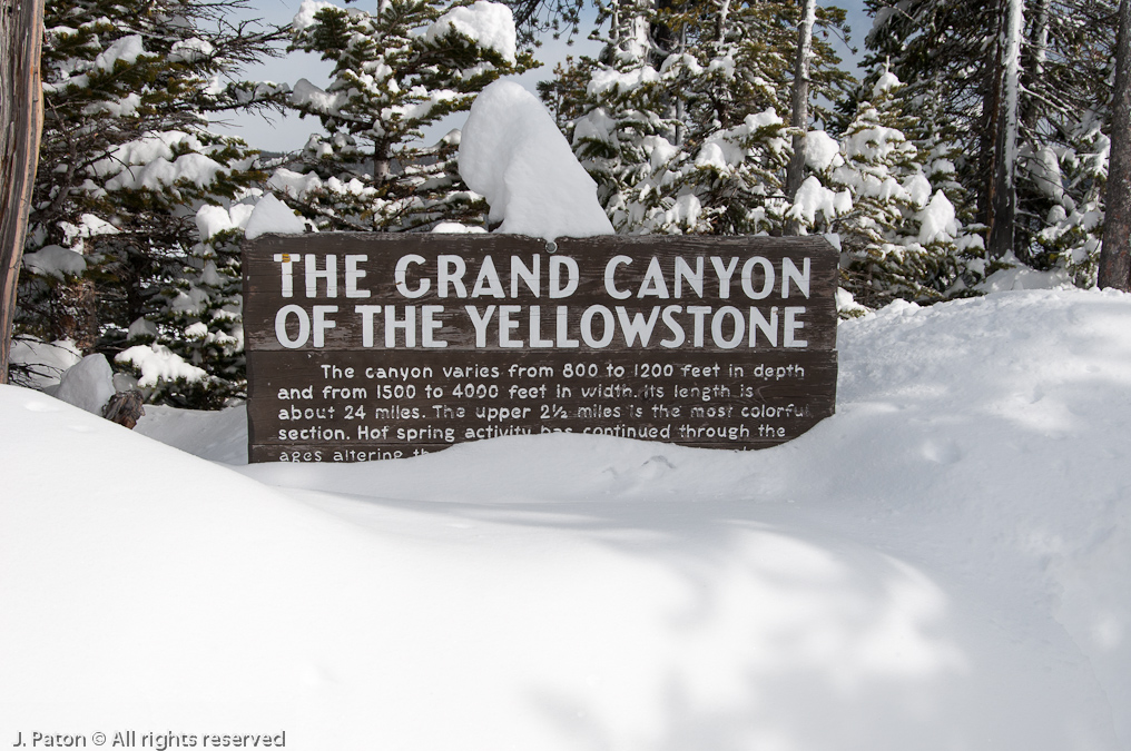    Canyon Area, Yellowstone National Park, Wyoming