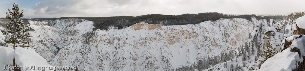 Grand Canyon of the Yellowstone   Canyon Area, Yellowstone National Park, Wyoming