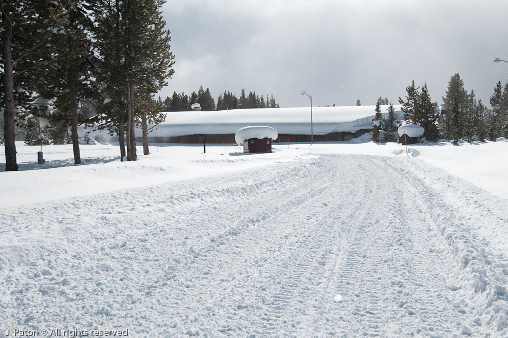 Winter at Canyon Village   Canyon Area, Yellowstone National Park, Wyoming