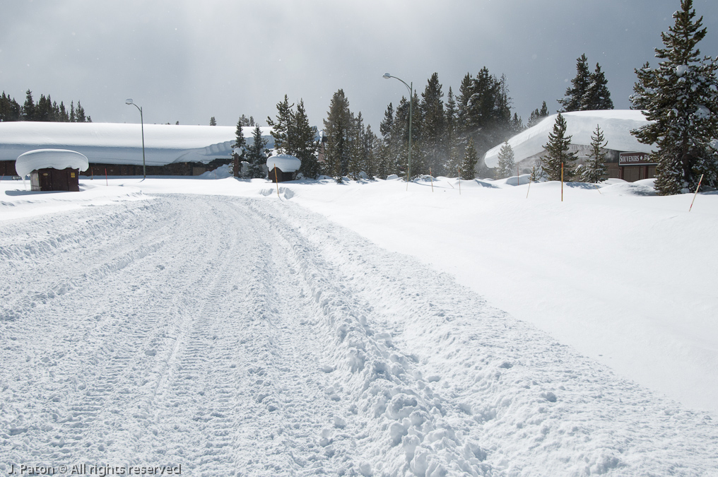 Winter at Canyon Village   Canyon Area, Yellowstone National Park, Wyoming