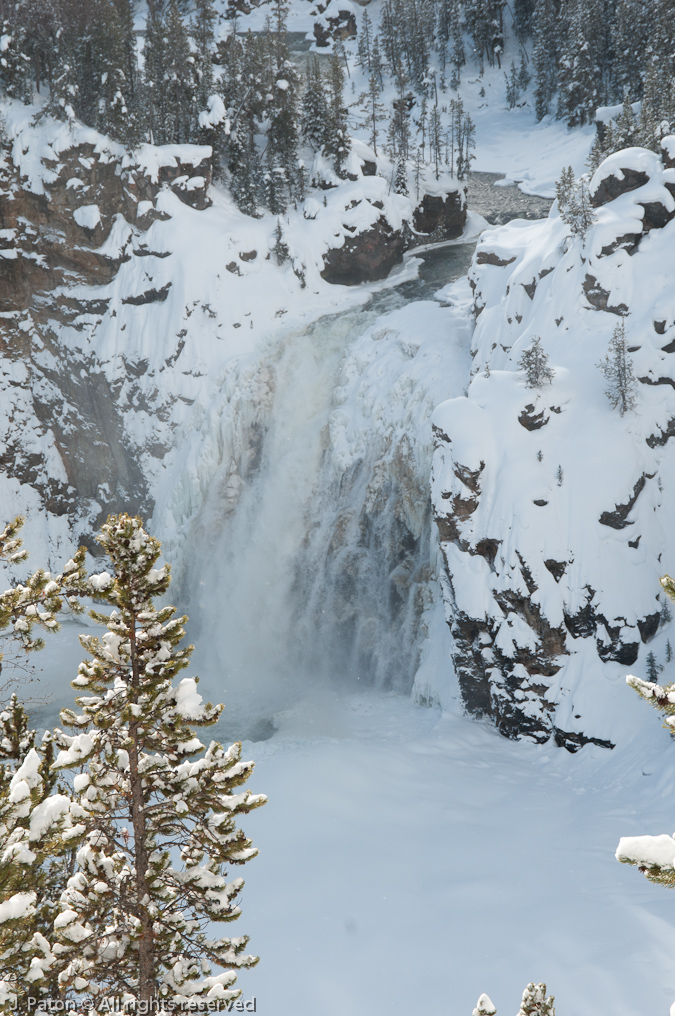 Upper Fall Winter View   Canyon Area, Yellowstone National Park, Wyoming