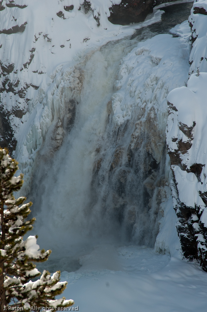 Lower Falls Closeup   Canyon Area, Yellowstone National Park, Wyoming