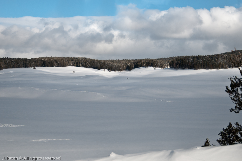 Winter in Hayden Valley   Hayden Valley, Yellowstone National Park, Wyoming