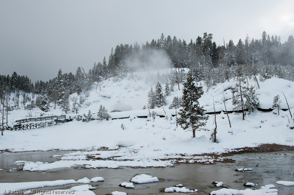 Mud Volcano Area   Mud Volcano Area, Yellowstone National Park, Wyoming