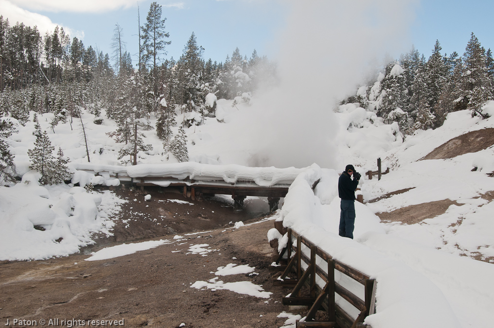 Dragon's Mouth Spring   Mud Volcano Area, Yellowstone National Park, Wyoming