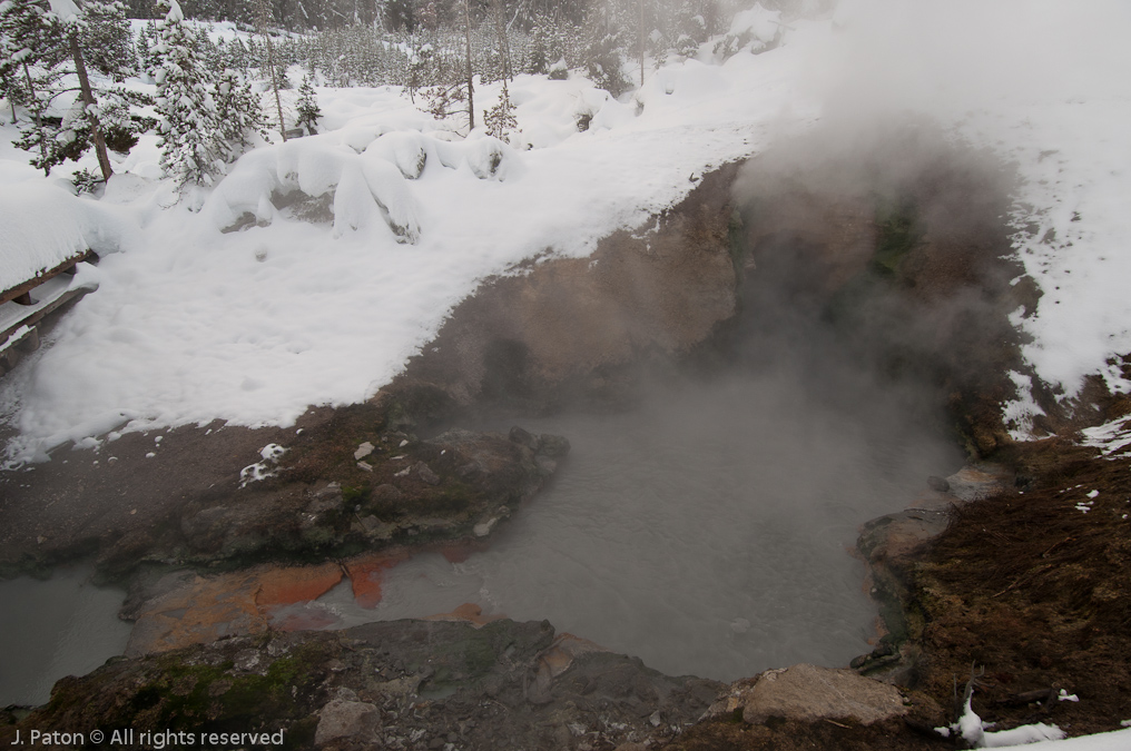 Dragon's Mouth Spring   Mud Volcano Area, Yellowstone National Park, Wyoming