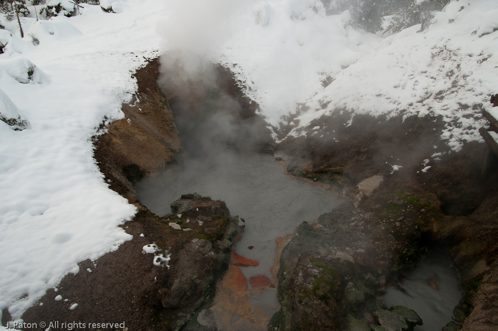 Dragon's Mouth Spring   Mud Volcano Area, Yellowstone National Park, Wyoming