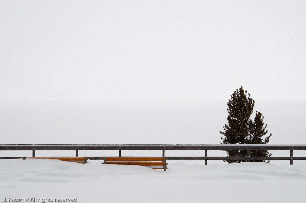 White out at the Lake Hotel   Lake Hotel, Yellowstone National Park, Wyoming