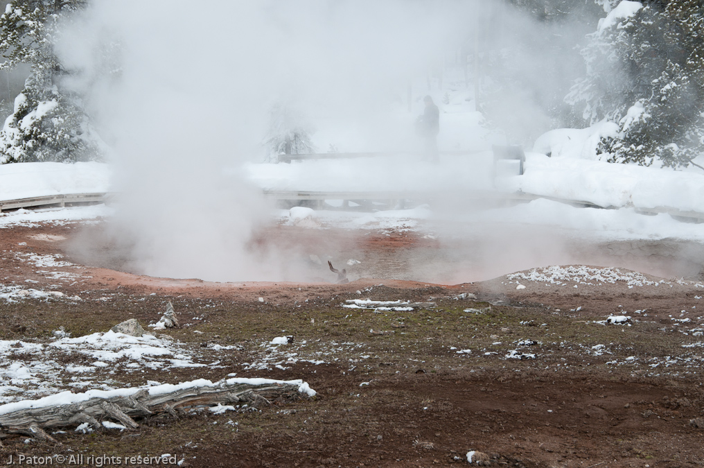 Red Spouter   Lower Geyser Basin, Yellowstone National Park, Wyoming