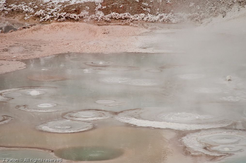 Paint Pots   Lower Geyser Basin, Yellowstone National Park, Wyoming