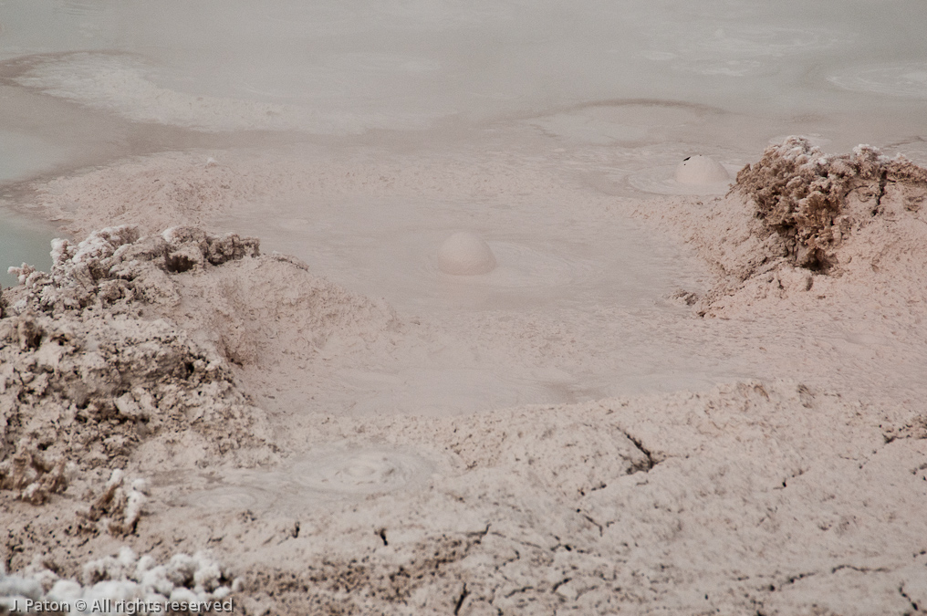 Paint Pots   Lower Geyser Basin, Yellowstone National Park, Wyoming