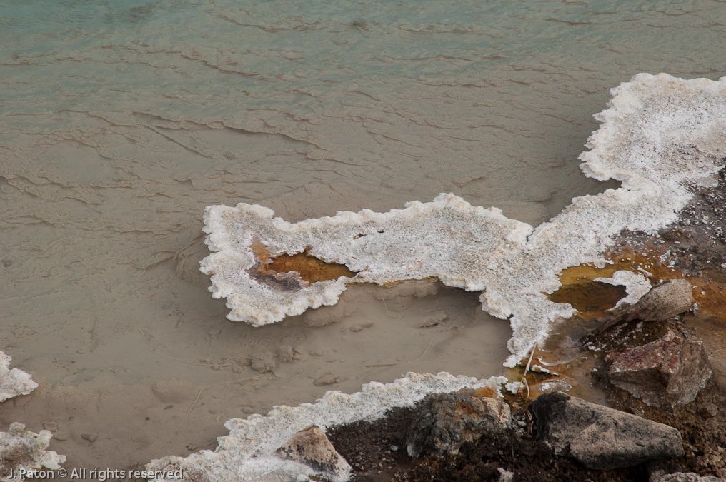    Lower Geyser Basin, Yellowstone National Park, Wyoming