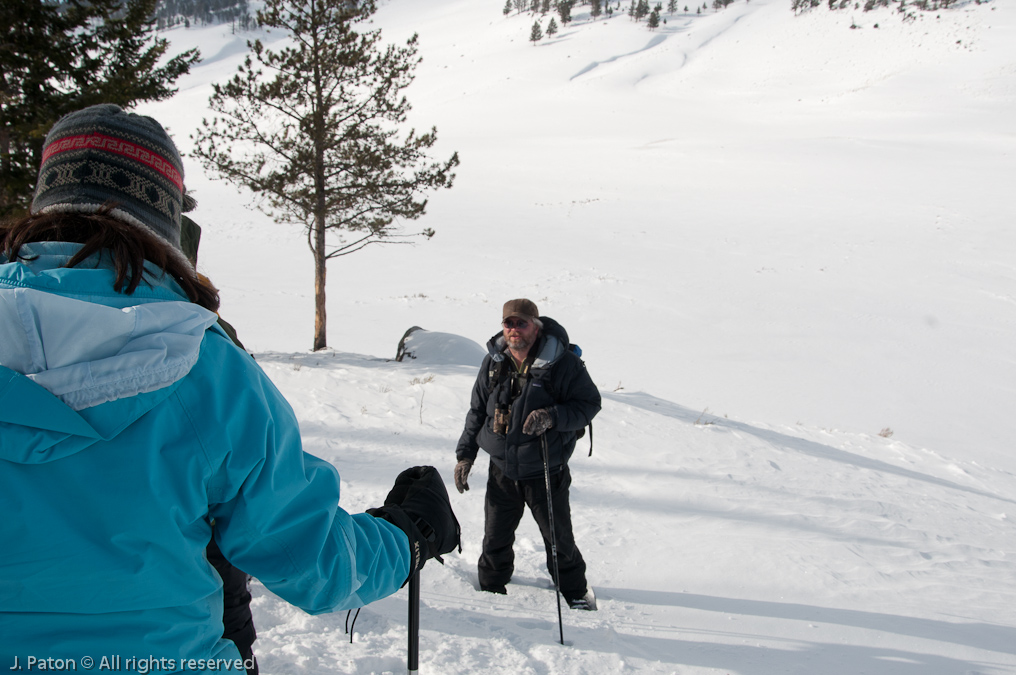 Our Guide   Lamar Valley, Yellowstone National Park, Wyoming