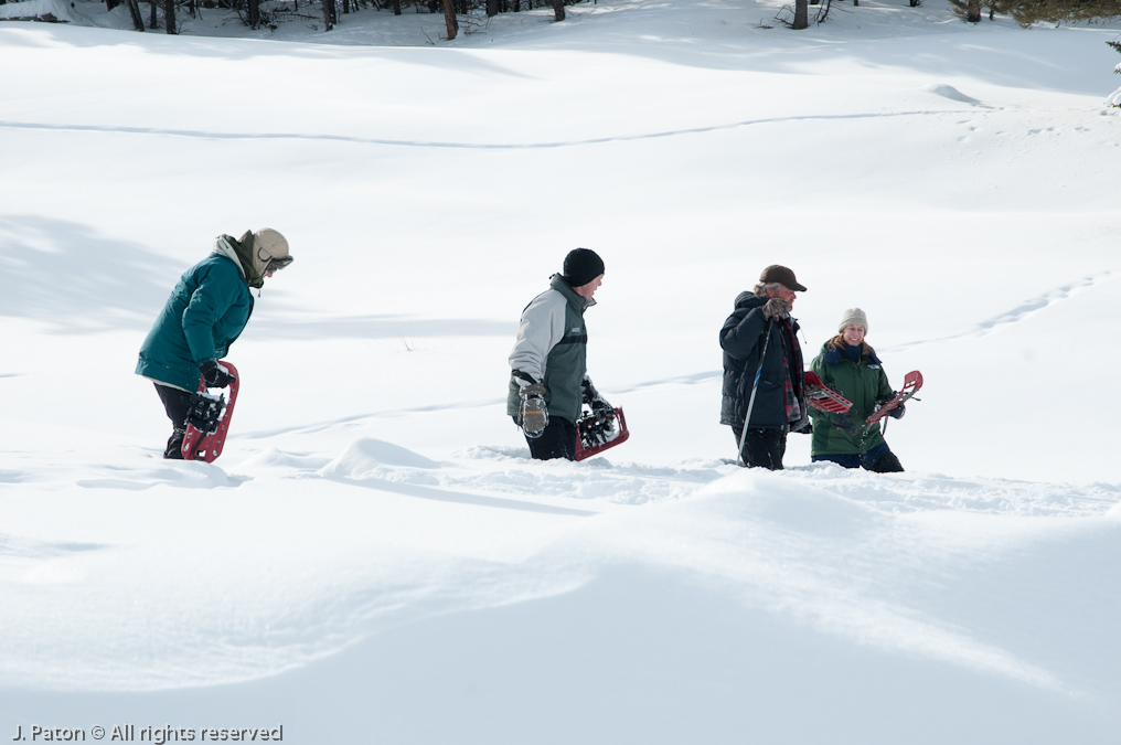 A Race Through Snow   