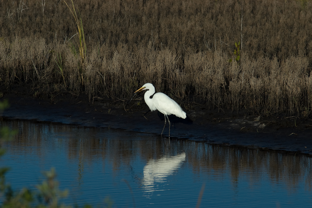    Black Point Drive, Merritt Island Wildlife Refuge 