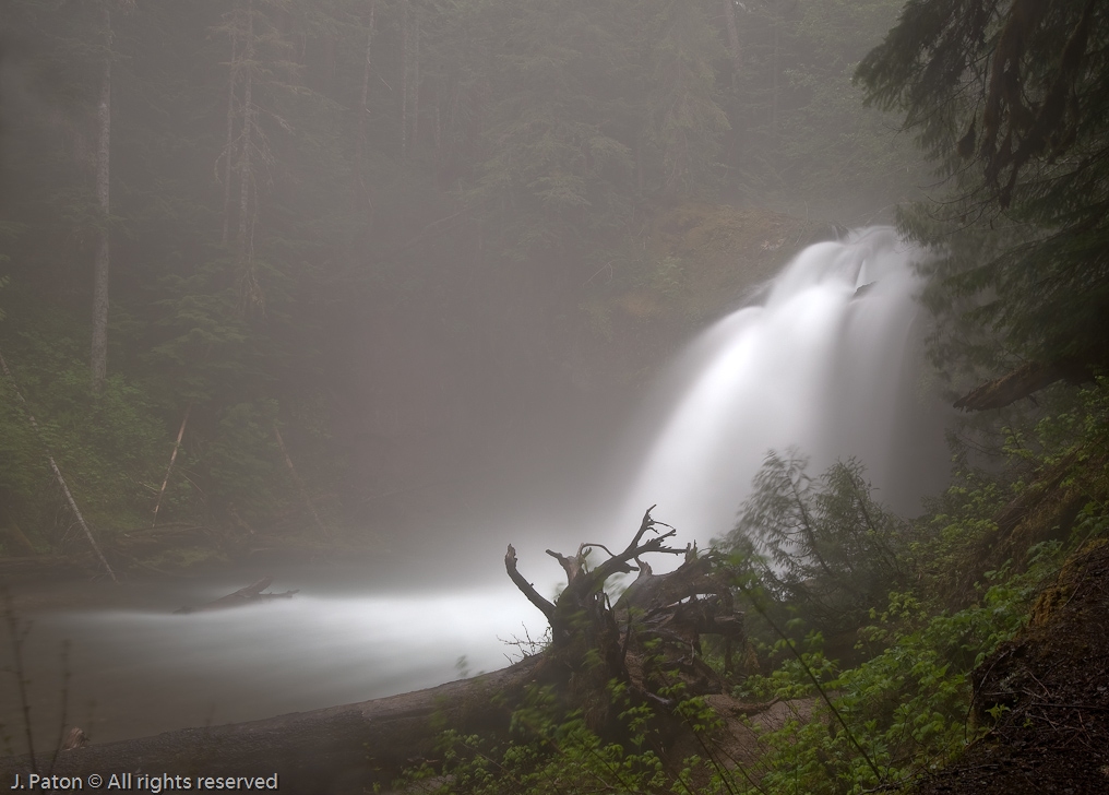 Iron Creek Falls   Outside Mount St. Helens' East Entrance