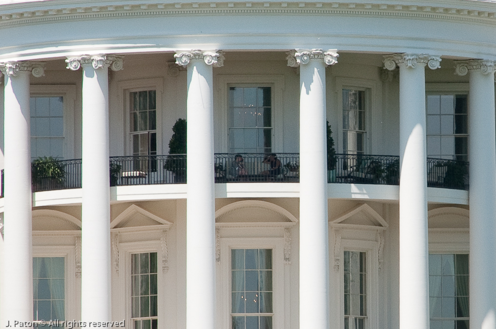 White House Closeup   Washington DC